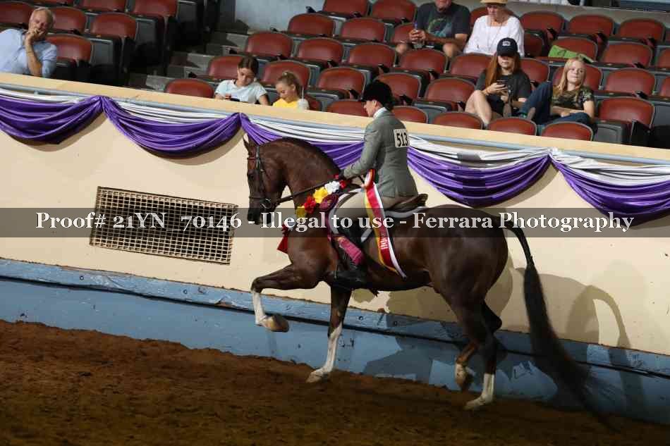 Proof 21YN_70146