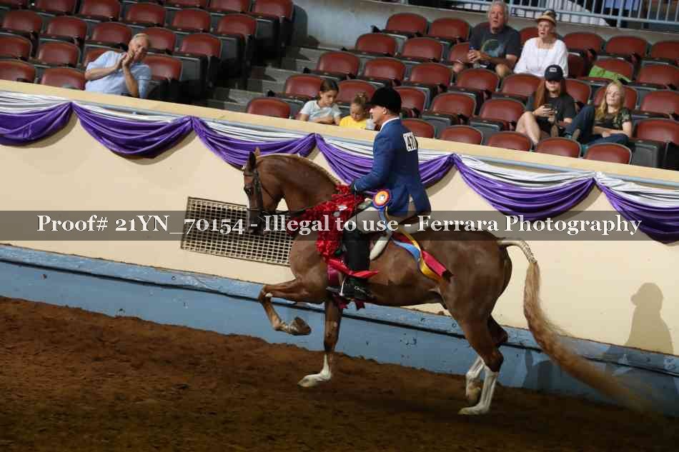 Proof 21YN_70154