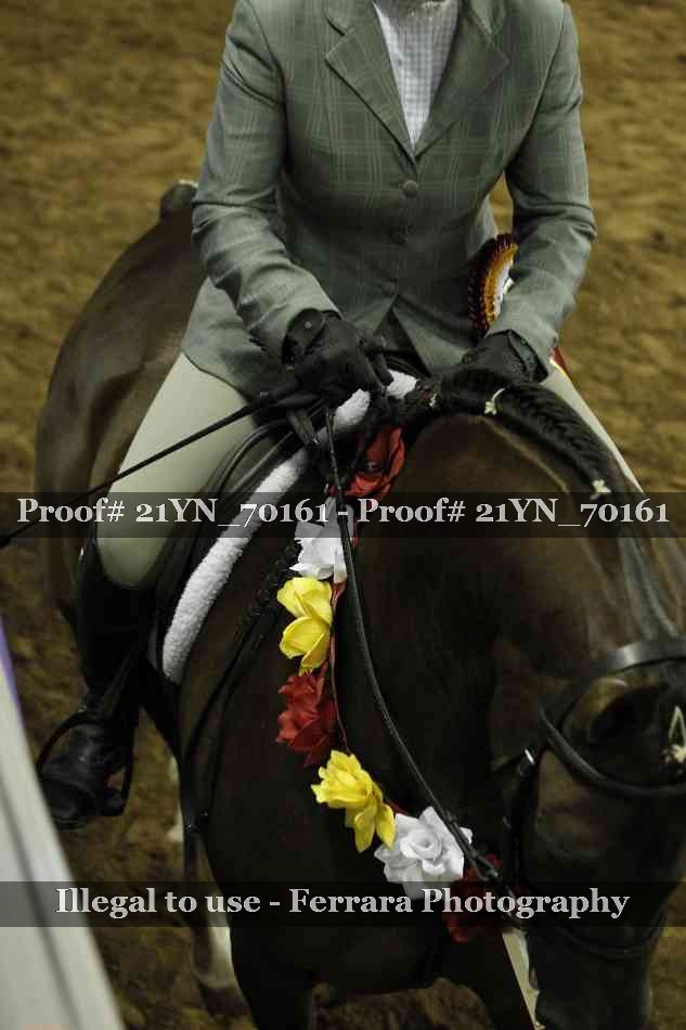 Proof 21YN_70161