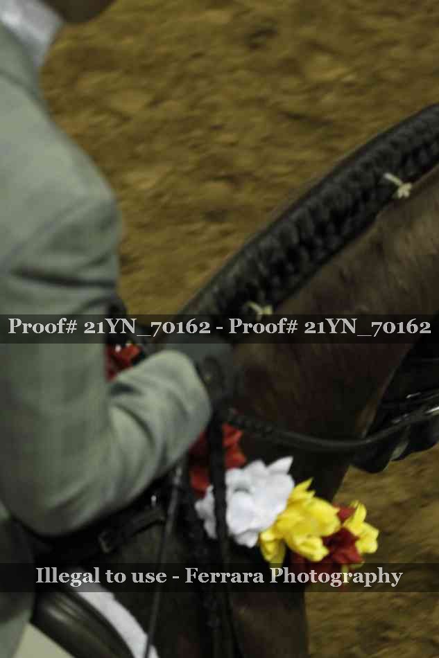 Proof 21YN_70162