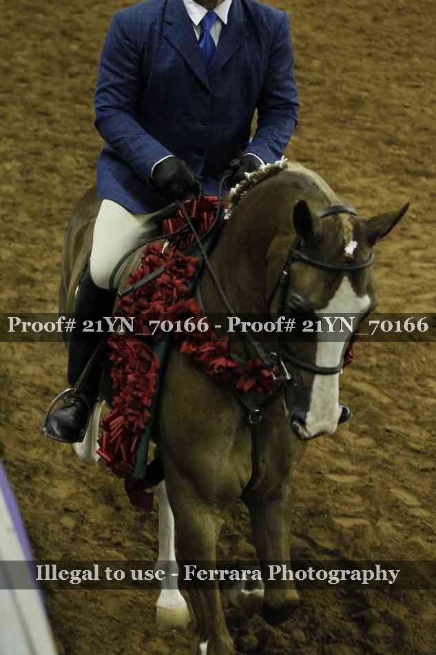 Proof 21YN_70166