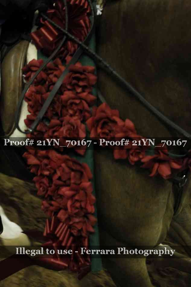 Proof 21YN_70167