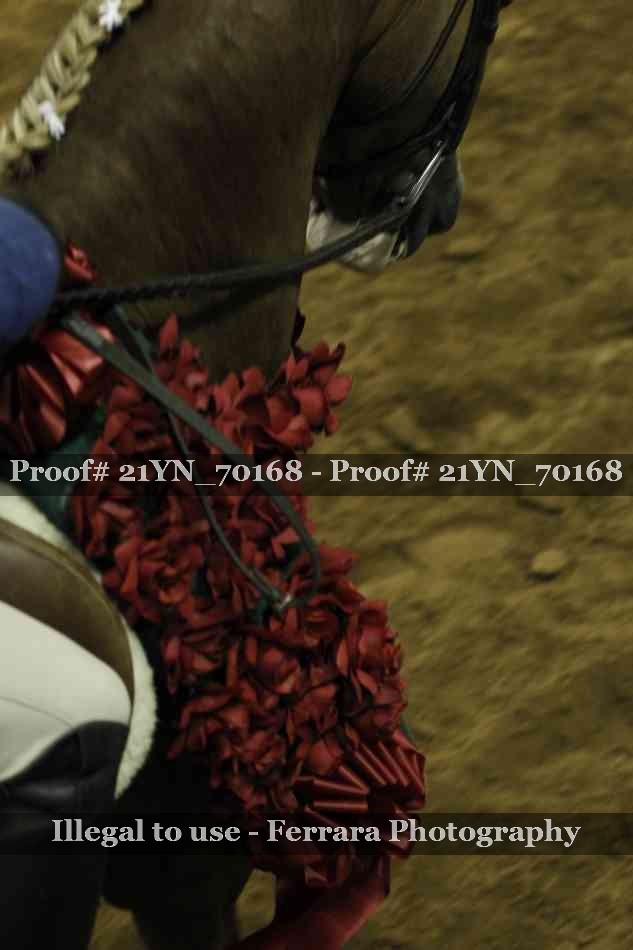 Proof 21YN_70168