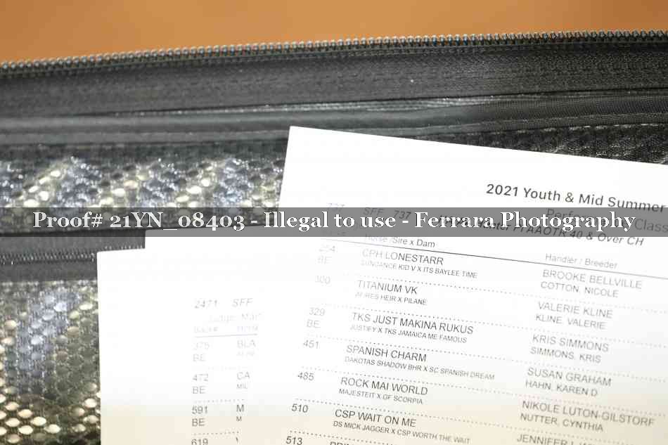 Proof 21YN_08403