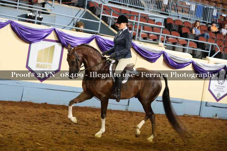 Proof 21YN_08409