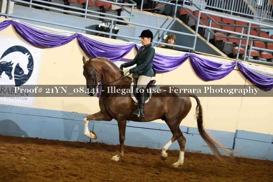 Proof 21YN_08441