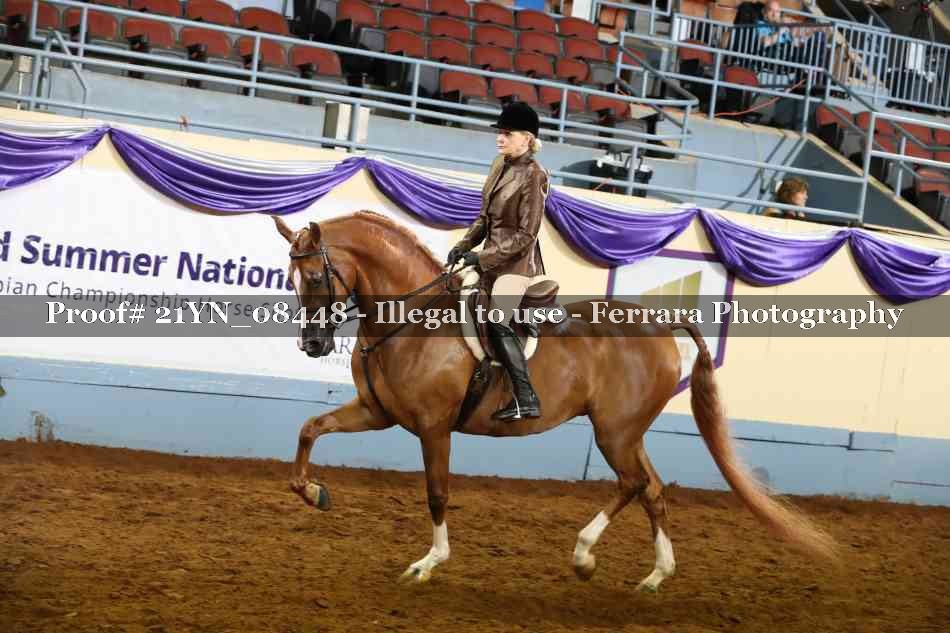 Proof 21YN_08448