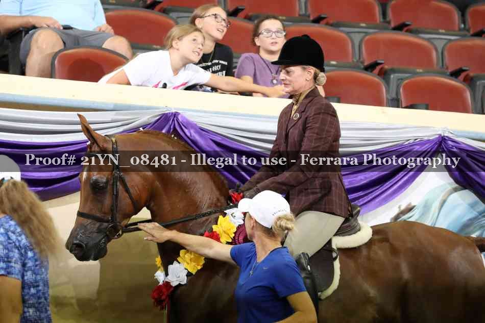 Proof 21YN_08481