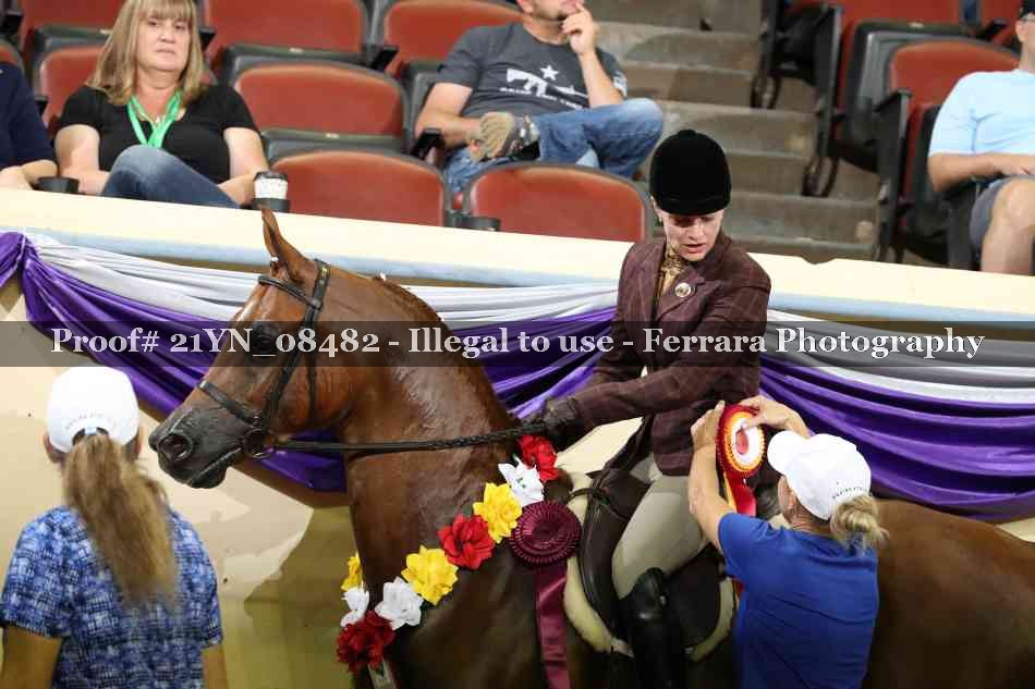 Proof 21YN_08482