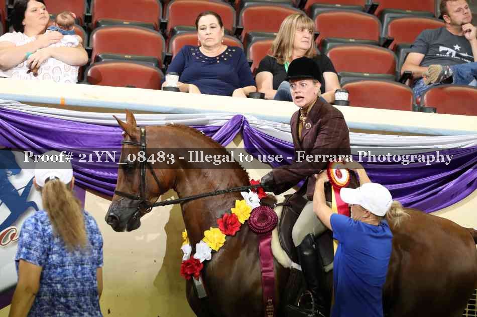 Proof 21YN_08483