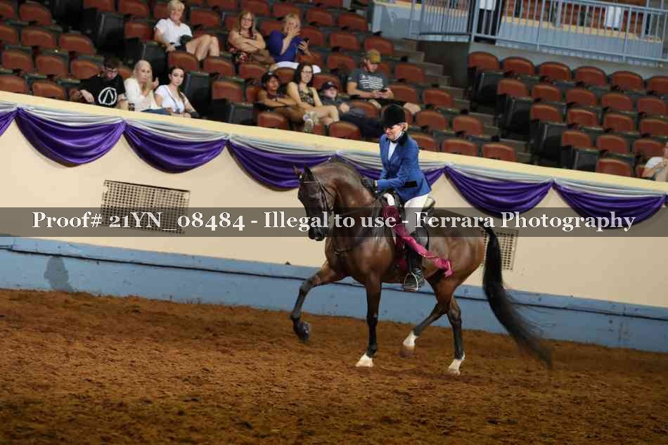 Proof 21YN_08484