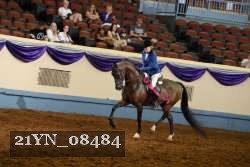 21YN_08484 proof