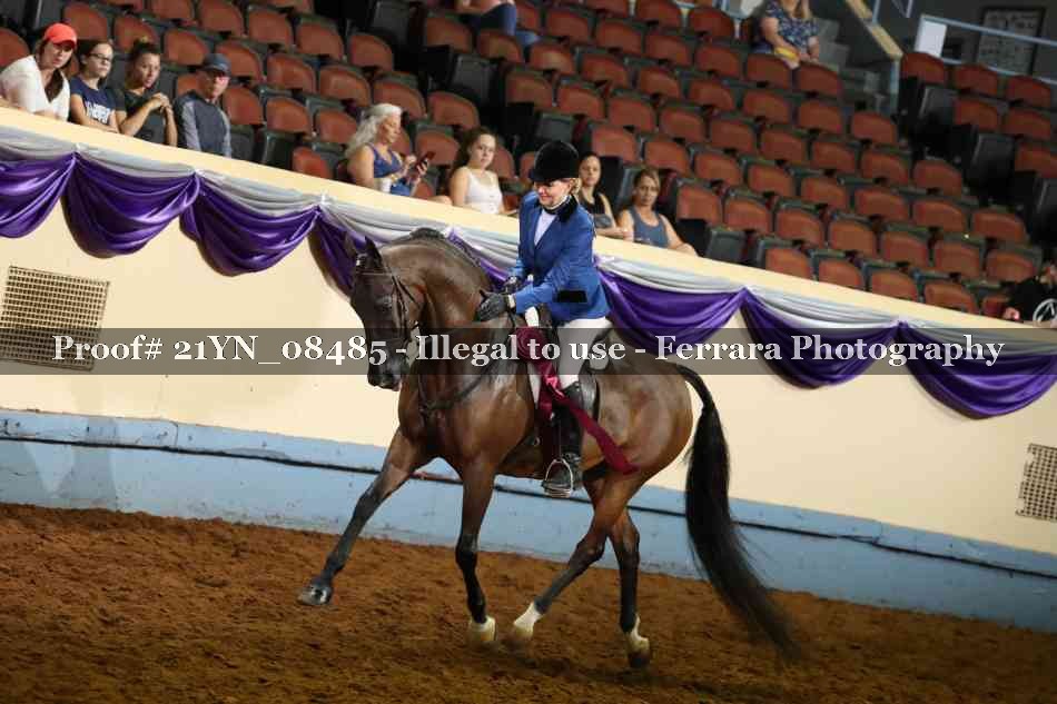 Proof 21YN_08485