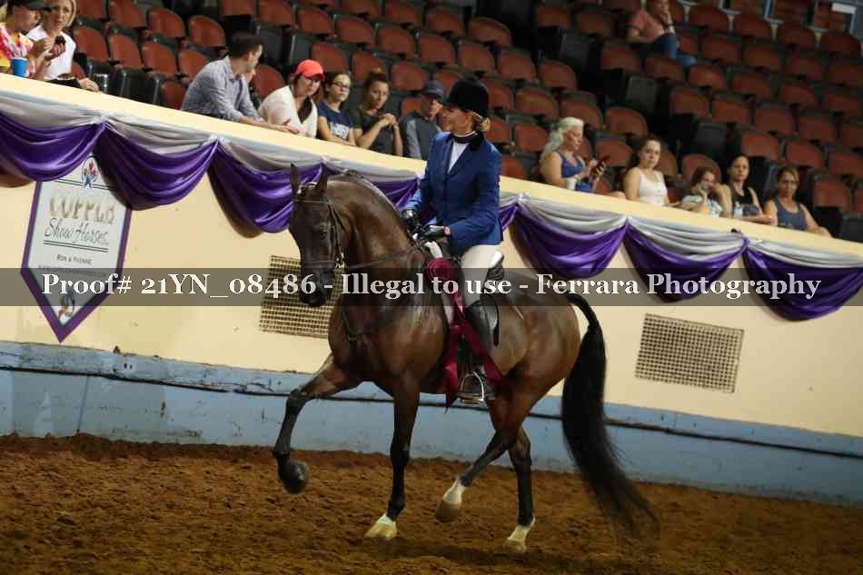 Proof 21YN_08486