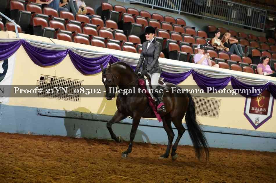 Proof 21YN_08502