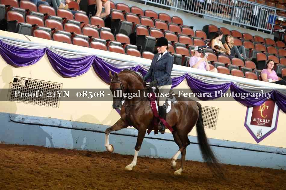 Proof 21YN_08508