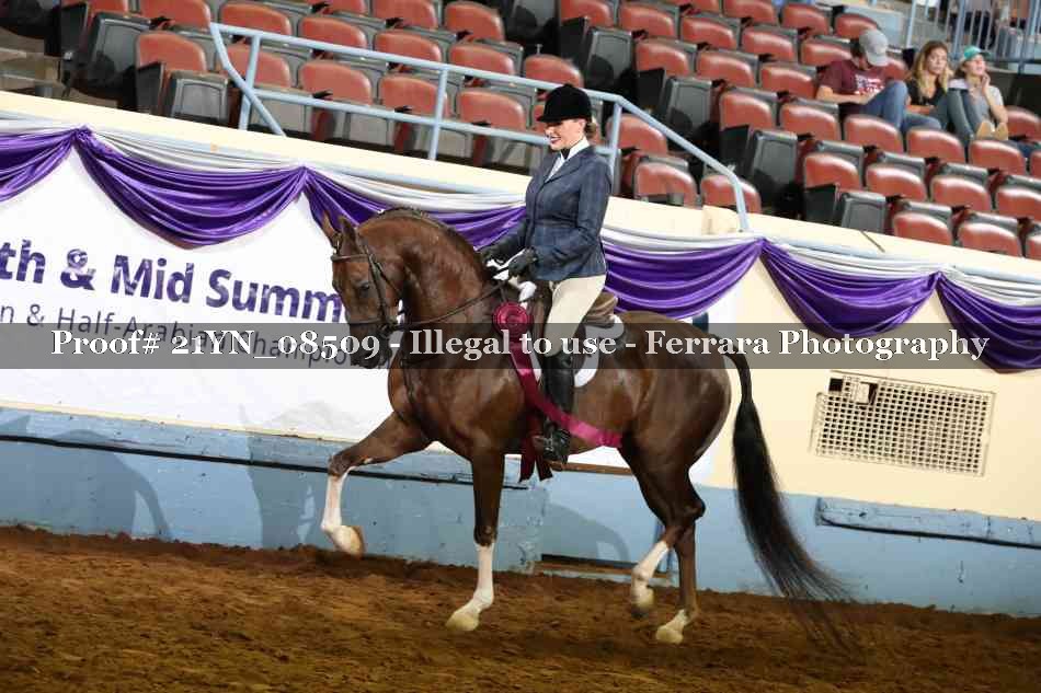 Proof 21YN_08509