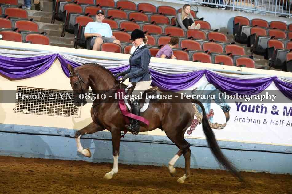 Proof 21YN_08510