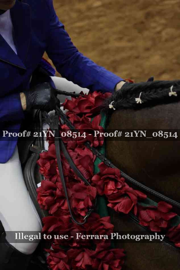 Proof 21YN_08514