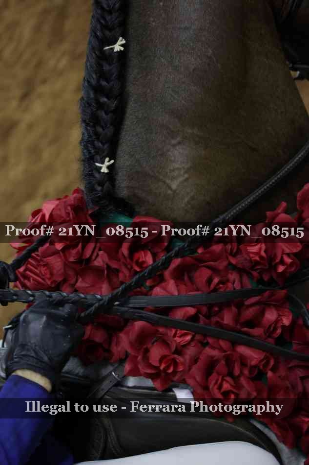 Proof 21YN_08515