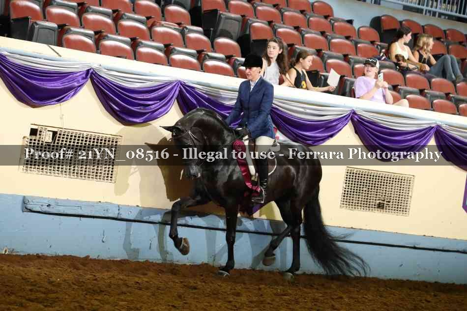 Proof 21YN_08516