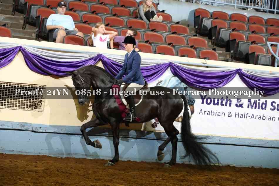 Proof 21YN_08518