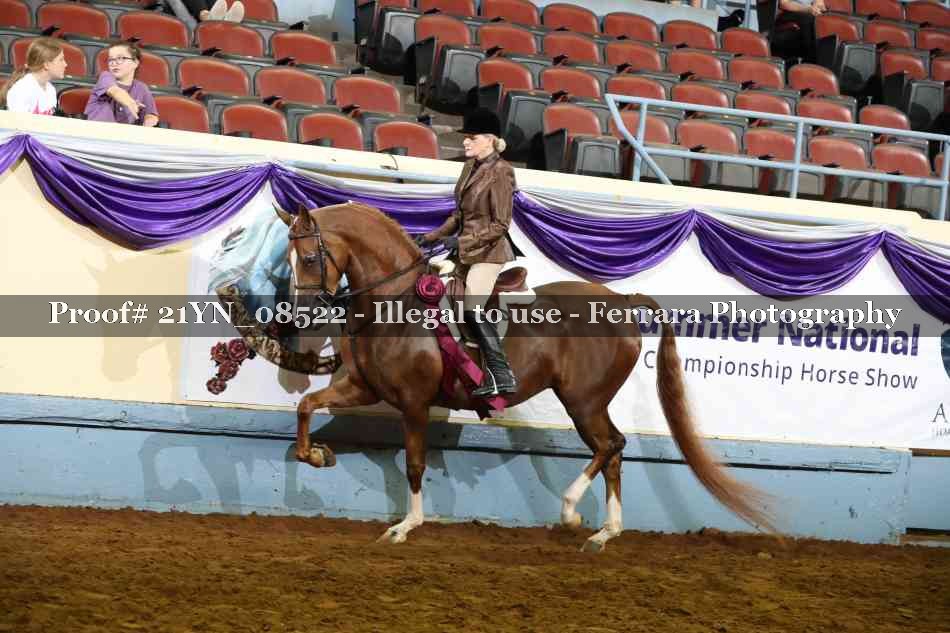 Proof 21YN_08522