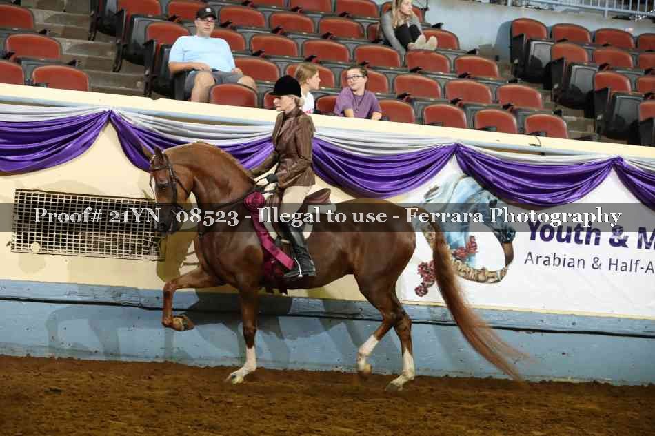 Proof 21YN_08523