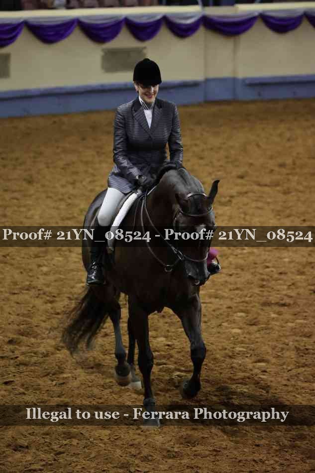 Proof 21YN_08524