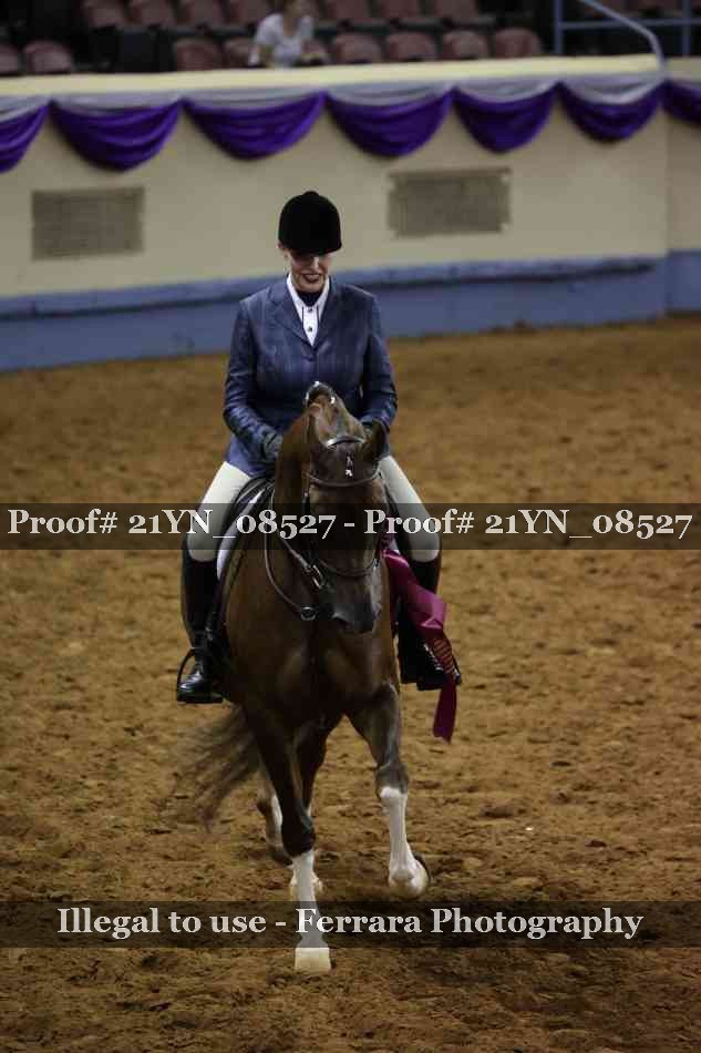 Proof 21YN_08527