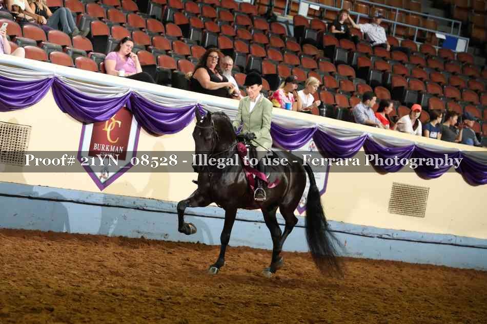 Proof 21YN_08528