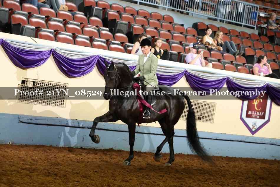 Proof 21YN_08529