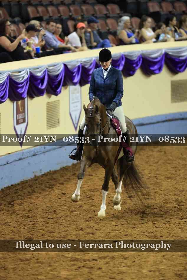 Proof 21YN_08533