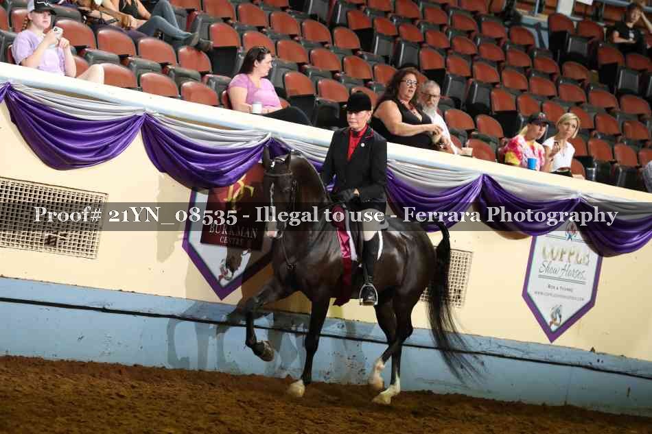 Proof 21YN_08535