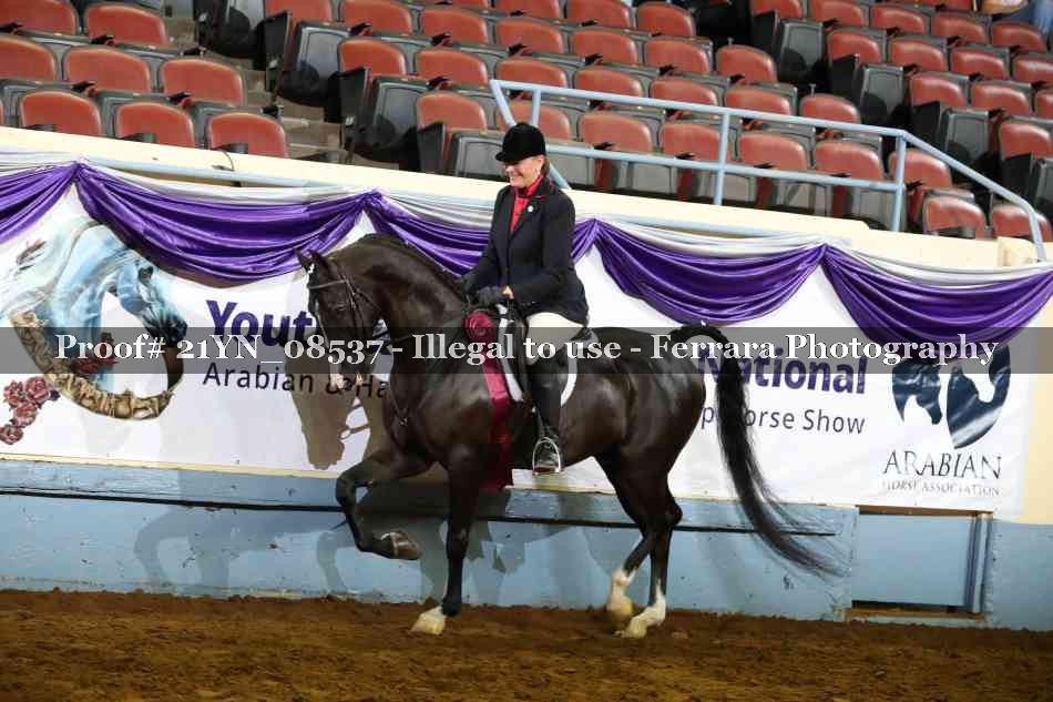 Proof 21YN_08537