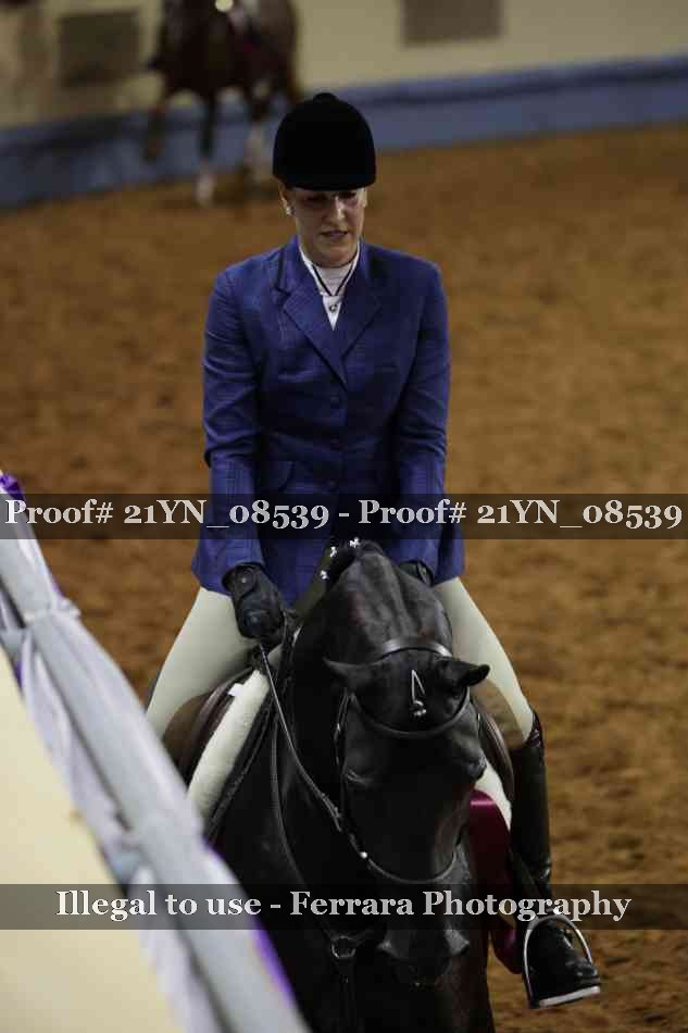 Proof 21YN_08539