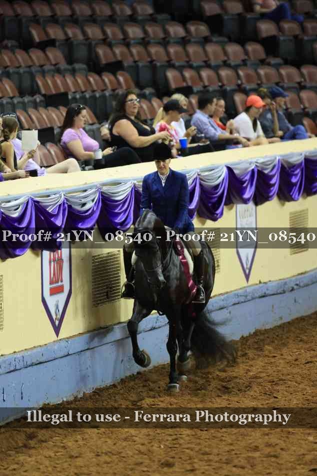 Proof 21YN_08540