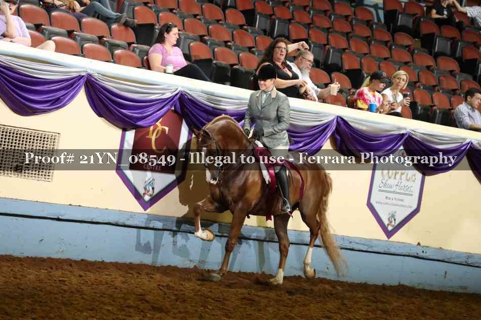 Proof 21YN_08549