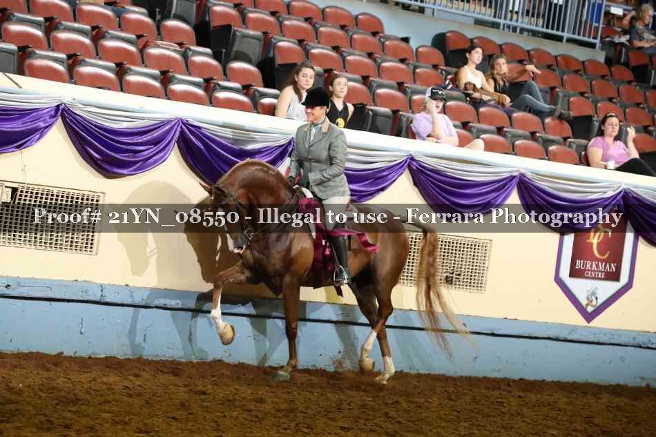 Proof 21YN_08550