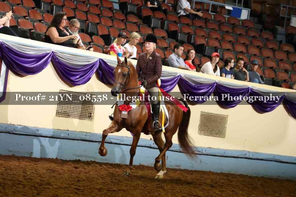 Proof 21YN_08558