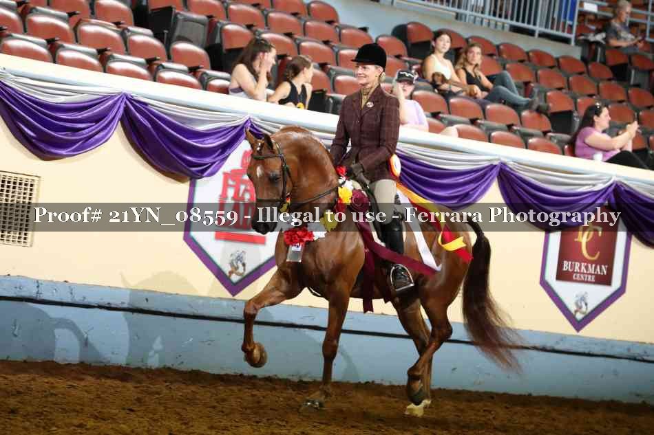 Proof 21YN_08559