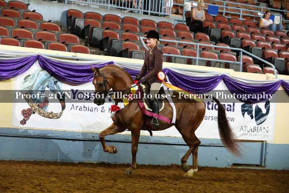 Proof 21YN_08561