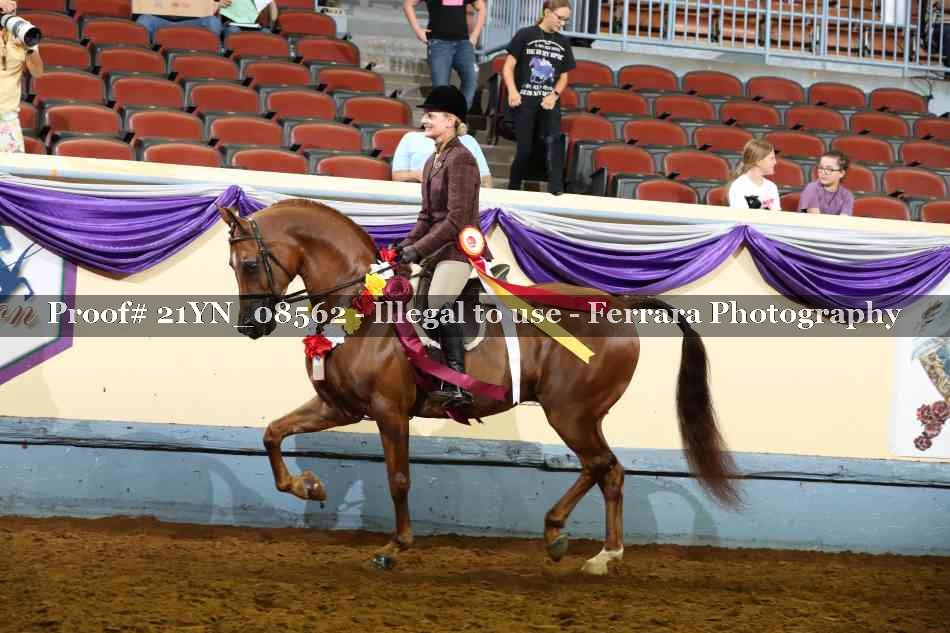 Proof 21YN_08562