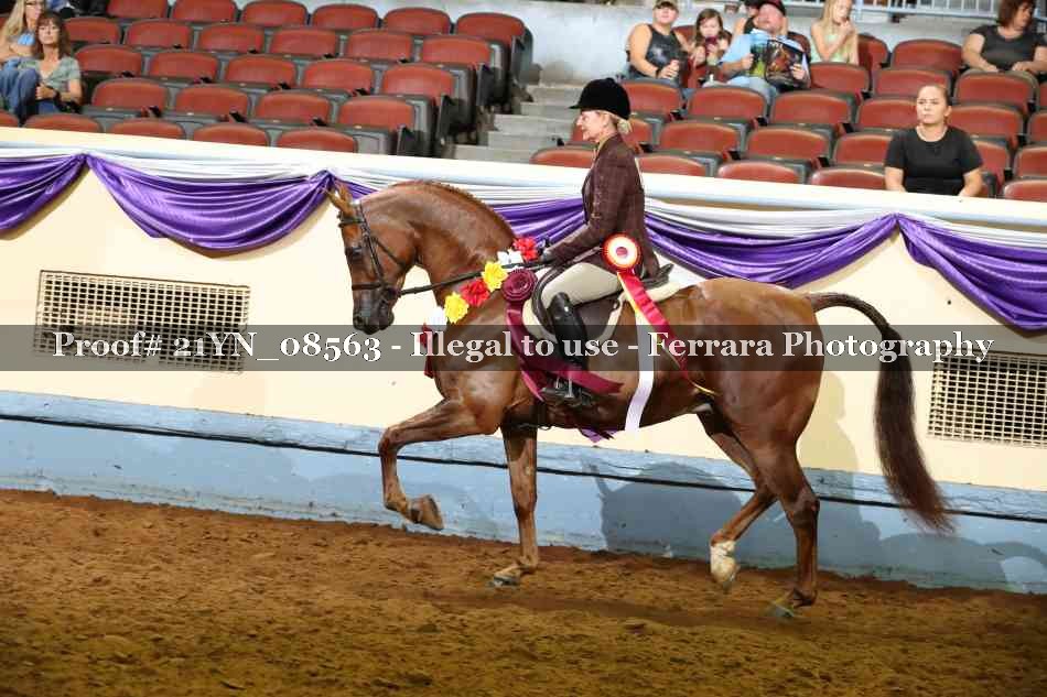 Proof 21YN_08563