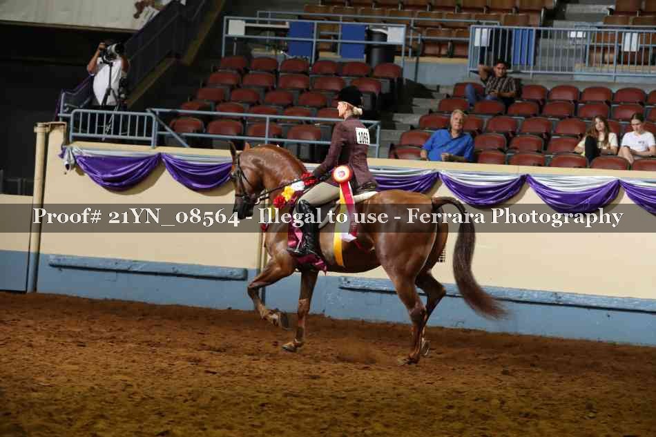 Proof 21YN_08564