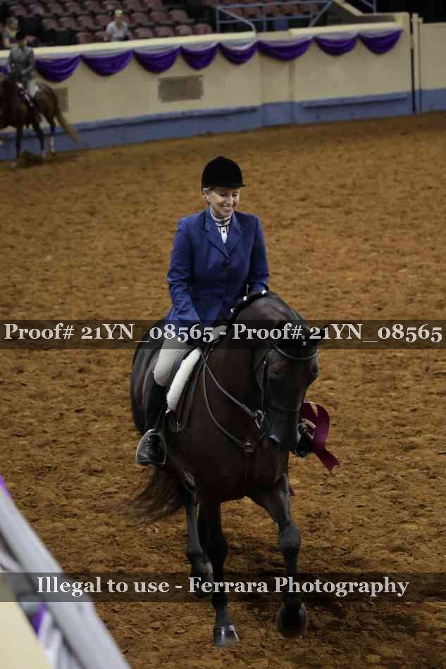 Proof 21YN_08565