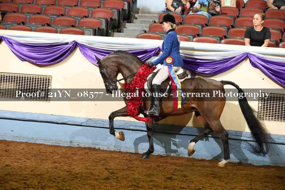 Proof 21YN_08577