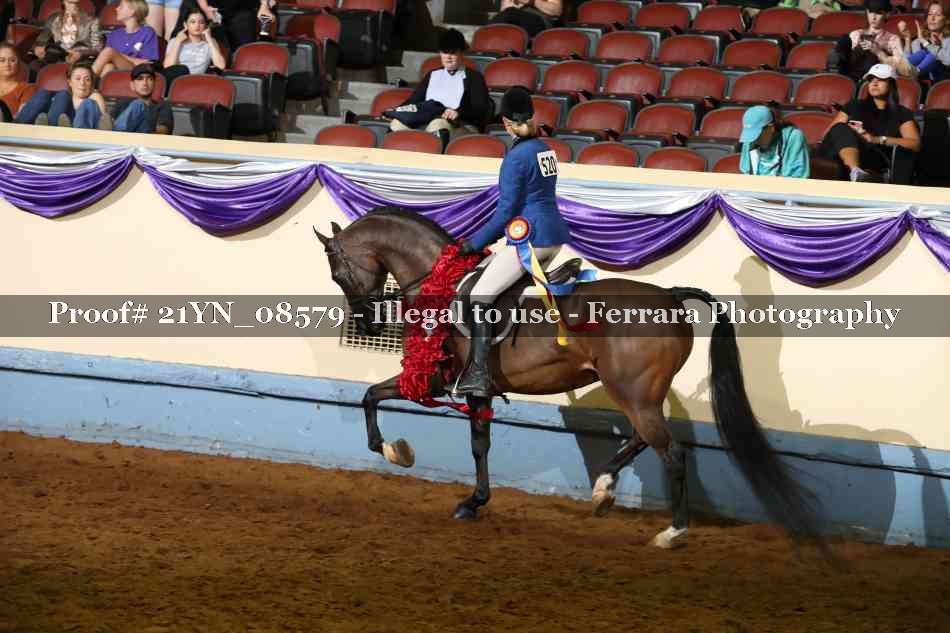 Proof 21YN_08579