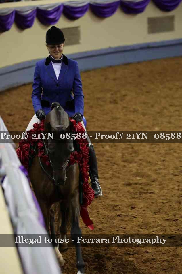 Proof 21YN_08588