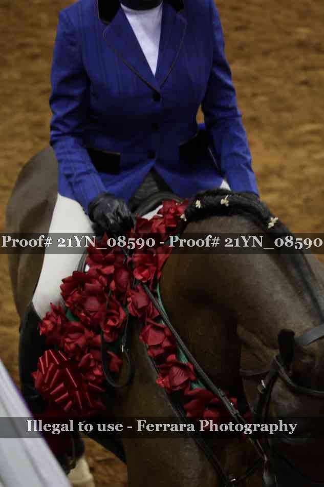 Proof 21YN_08590